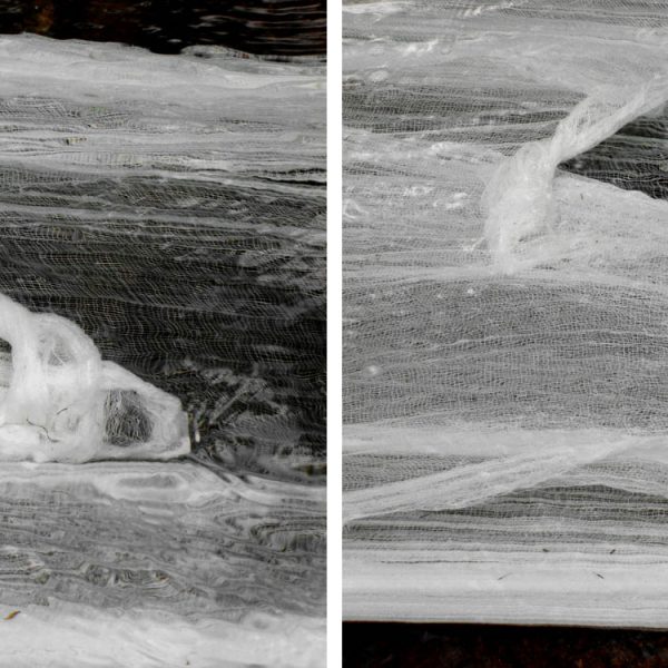 Gauze and water (river), 2006. Analogic print on fiber paper. 58 × 43,5 cm each. Diptych.