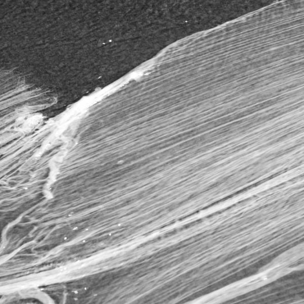 Gaze e água (mar), 2008. Ampliação fotográfica em papel de fibra. 58 × 38,7 cm cada. Tríptico.