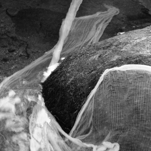 Gaze e água (rio), 2006. Impressão a jato de tinta sobre papel de algodão.
