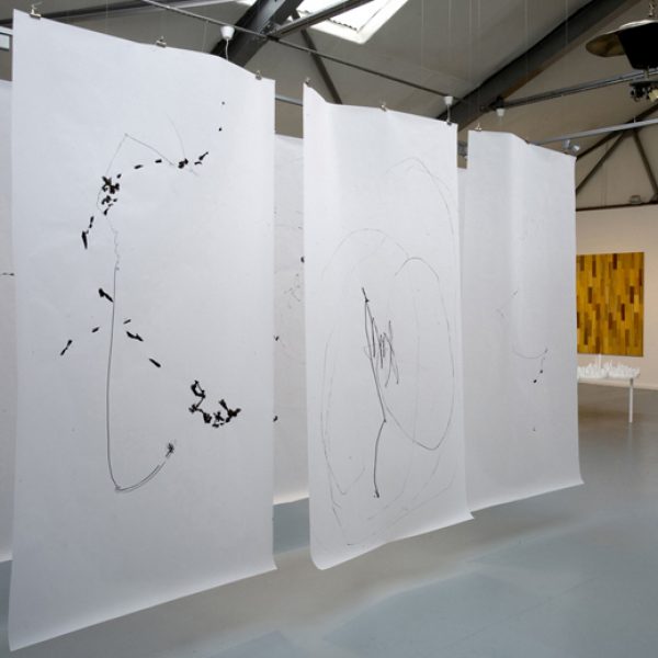 Exhibition ‘Paper Trail: 15 Brazilian Artists', 2008. Allsopp Contemporary Gallery, London, England. Curated by Maria do Mar Guinle.