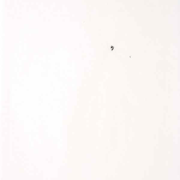 (Detalhe)- Diálogo (Sopro), 2008. Tinta preta sobre papel japonês. 34 × 23 cm cada. Políptico