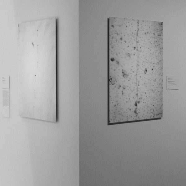 18th Bienal de Sydney: 'all our relations', 2012. Curadoria de Catherine de Zegher e Gerald McMaster