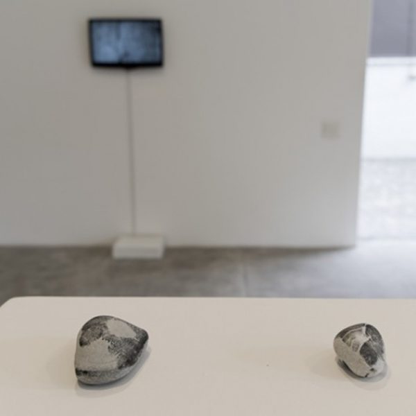 Exhibition 'Situação de água', 2014. Marilia Razuk Gallery, São Paulo. Curated by Luisa Duarte.