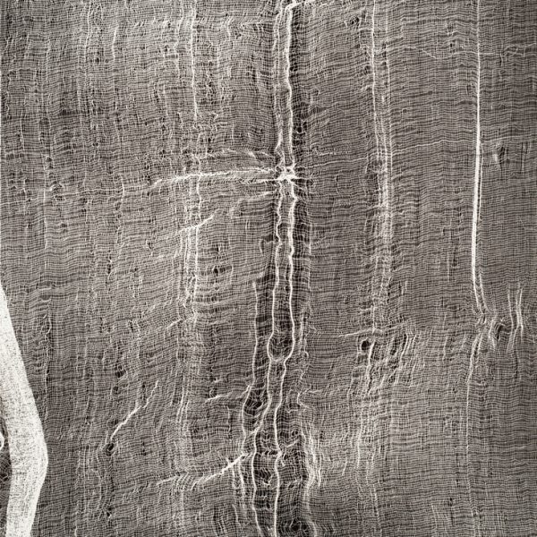 Sem Título (Gaze), 2013. Monotipia sobre papel de algodão, 108 x 79 cm cada.