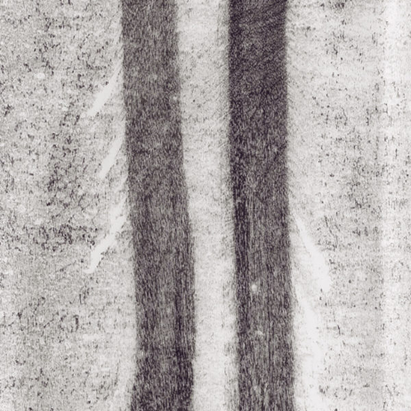 Walk, 2016. Monoprint on Japanese paper, 240 x 50 cm.