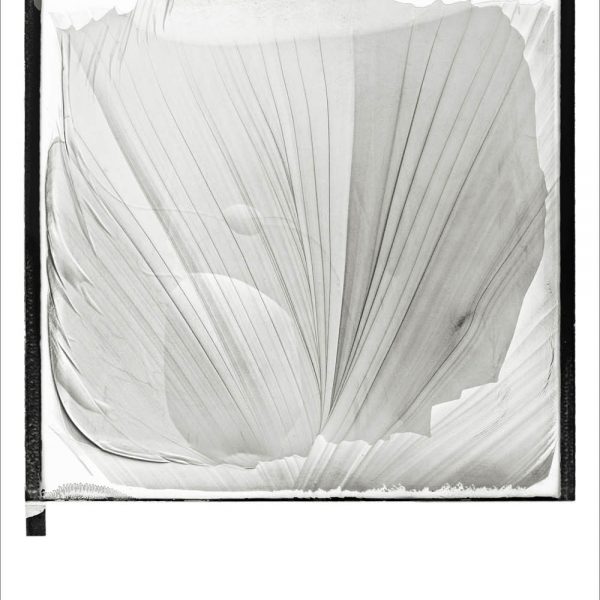Untitled (Polaroid Series), 2009. Inkjet print on cotton paper. 145 × 110 cm.