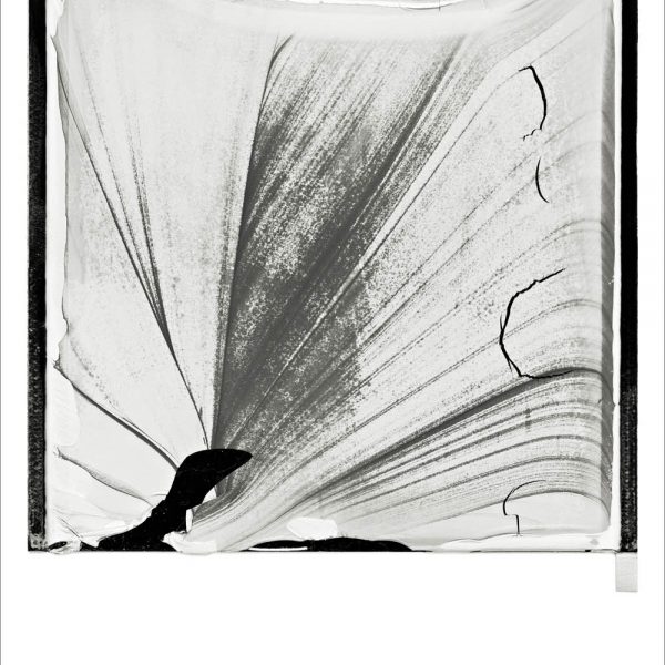 Untitled (Polaroid Series), 2009. Inkjet print on cotton paper. 145 × 110 cm.