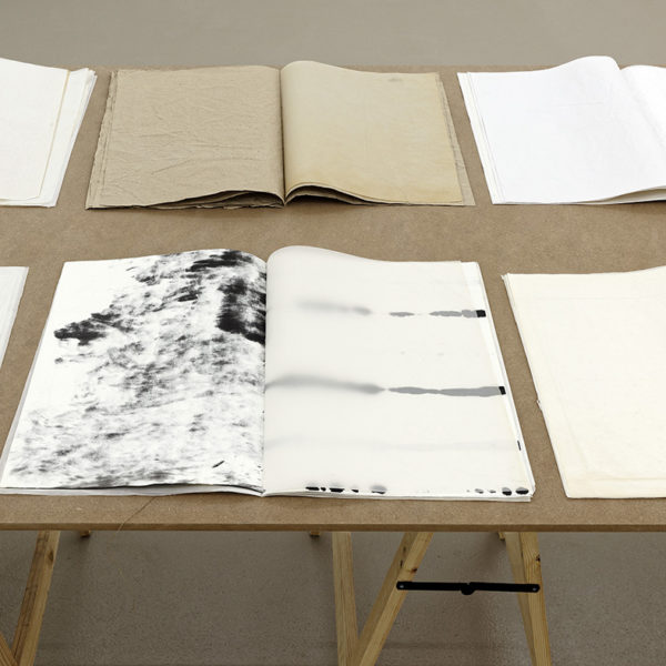 That Which We Don't See, 2016. Instalation. Table (around 600 x 100 cm) and 14 books ( made from papers that revolve around the artwork, such as packaging, testing, drying, etc.). Single. Institut D’Art Contemporain Villeurbanne / Rhône-Alpes, France. Exhibition 'Almost Nothing'- project OTIUM#4, 2019