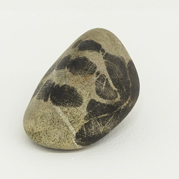 Pedra do Real, 2011/ 2019. Monotipia sobre pedra. aproximadamente 8 x 7 x 3,5 cm