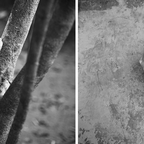 Amongst Herselves (something concrete, capable of letting itself to be broken), 2020. Diptych, inkjet print on cotton paper (54 x 81 cm) and porcelain sculpture (17 x 23 x 11 cm).