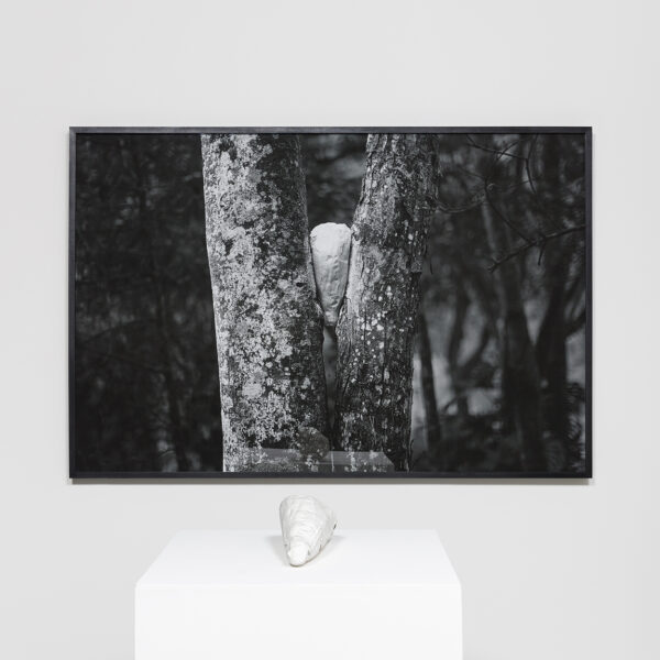 Amongst Herselves (something concrete, capable of letting itself to be broken), 2020. Diptych, inkjet print on cotton paper (110 x 165 cm) and porcelain sculpture (around 34 x 14 x12 cm).
