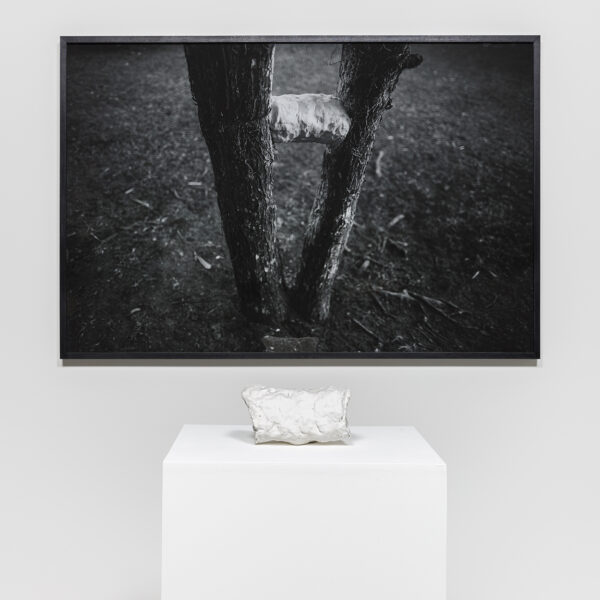 Amongst Herselves (something concrete, capable of letting itself to be broken), 2020. Diptych, inkjet print on cotton paper (97 x 145,5 cm) and porcelain sculpture (around 15 x 25 x 12  cm).