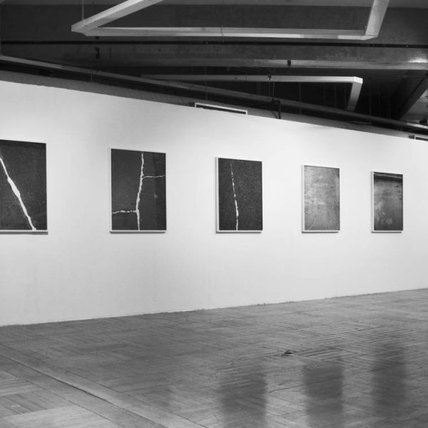 Exposição 'O lugar da linha', 2010. Paço das artes, São Paulo. Curadoria Felipe Scovino.