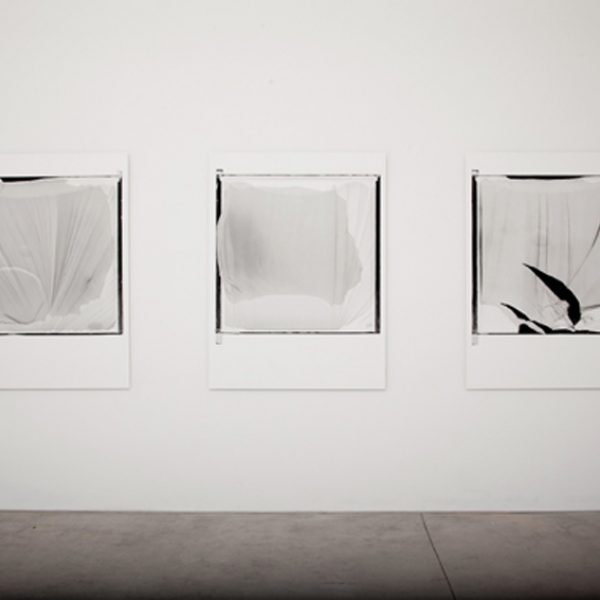 Exhibition 'Gesto Mínimo', 2010. Riccardo Crespi Gallery, Milan. Curated by Federica Bueti.