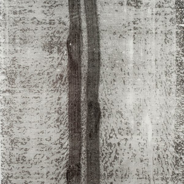 Caminho (10.03.15,2:20pm), 2015 Monoprint on japonease paper 230 x 100 cm