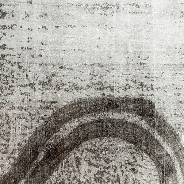 (Detail)- Caminho (10.03.15,4:15pm), 2015 Monoprint on japonease paper 230 x 100 cm