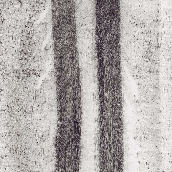 Detalhe- Caminho, 2016. Monotipia sobre papel japonês, 240 x 50 cm.