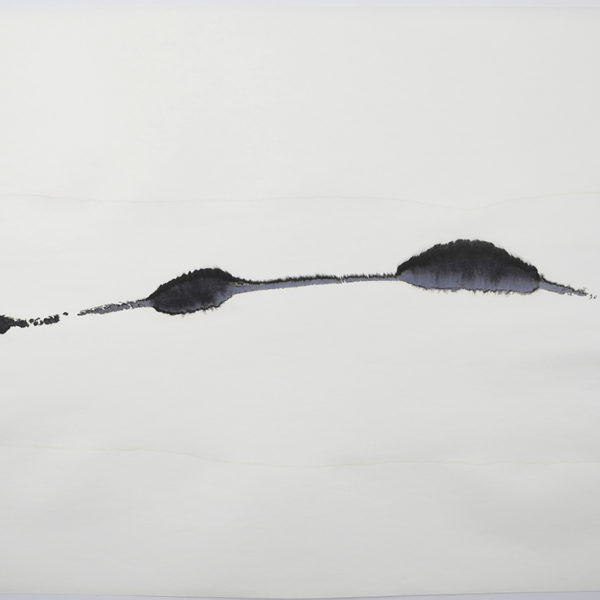 Internal Activity, 2017. Indian ink on blotting paper, 75 x 100 cm.