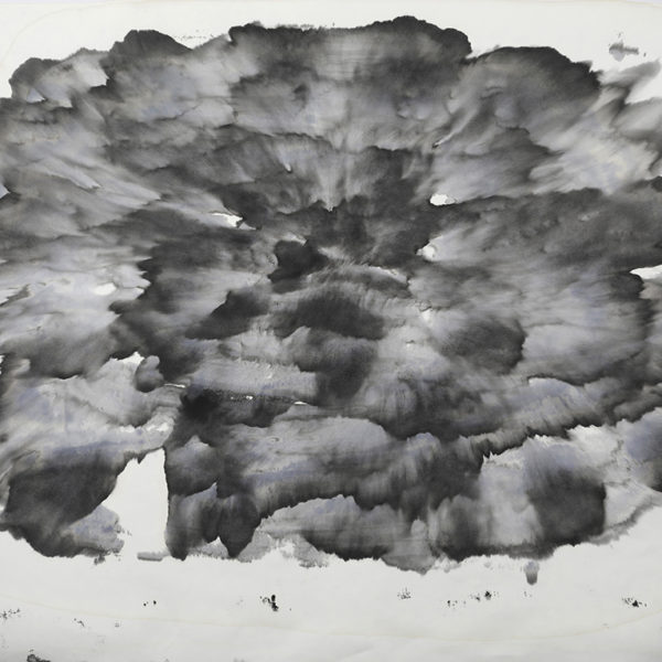 Internal Activity, 2017. Indian ink on blotting paper, 75 x 100 cm.