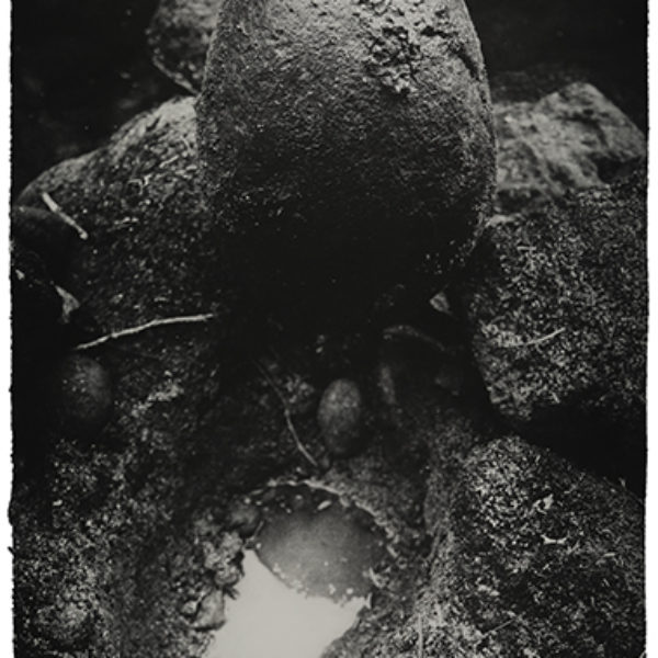 Untitled (Home), 2013/ 2018. Photogravure on cotton paper 98,5 x 65,5 cm - This work shows a stone that has the shape of an egg and the weight of a person, and its empty space inside the earth. Thinking about the space of this body stone, the space created by the body in the world, or the space of the body received by the earth, positive and negative, presence and absence. The photoengraving shows the stone in its approximate real size, and because of the printing process itself, it speaks of the materiality of the stone and the earth.