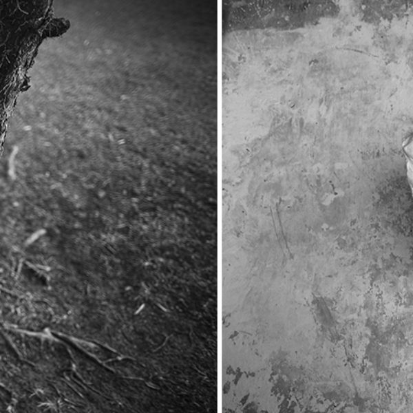 Amongst Herselves (something concrete, capable of letting itself to be broken), 2020. Diptych, inkjet print on cotton paper (97 x 145,5 cm) and porcelain sculpture (around 15 x 25 x 12  cm).