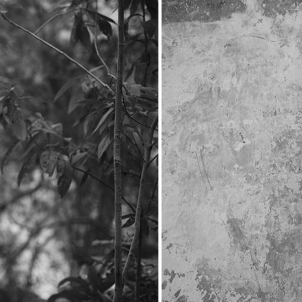 Amongst Herselves (something concrete, capable of letting itself to be broken), 2020. Diptych, inkjet print on cotton paper (87 x 130,5 cm) and porcelain sculpture (around 45 x 7,5 x 11 cm).